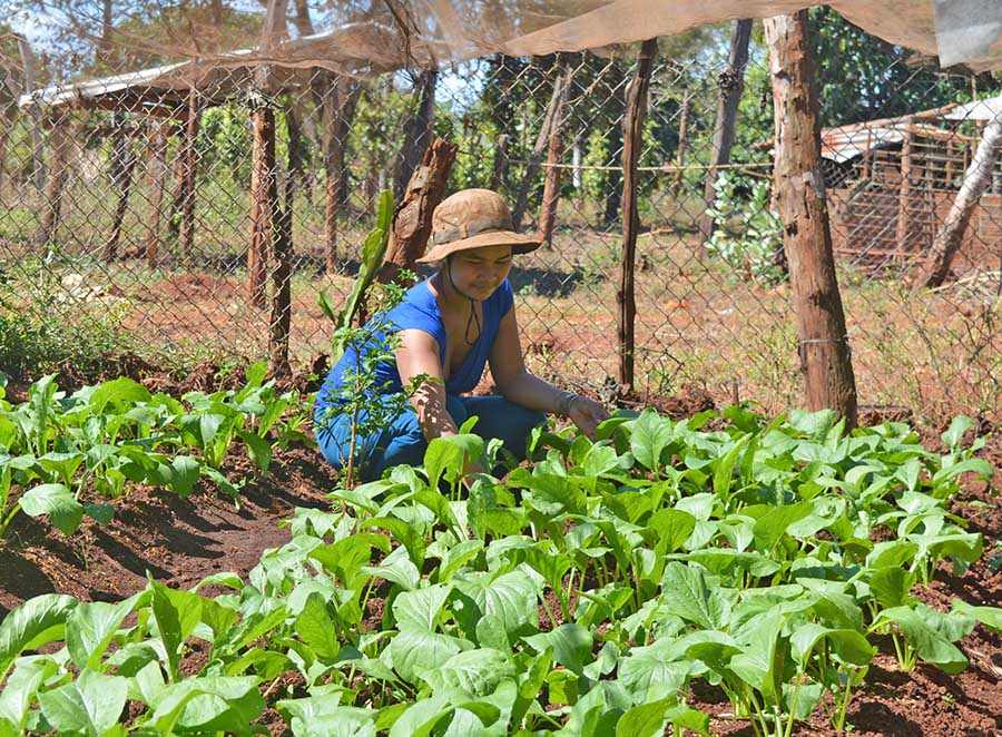 Phụ nữ Chư Prông giúp dân cải tạo vườn tạp