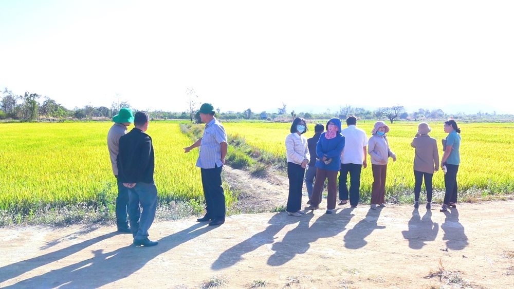 Hội Nông dân tỉnh thăm, nắm mô hình sản xuất nông nghiệp trên địa bàn xã Ia Mơ huyện Chư Prông
